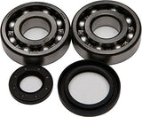 All Balls Crank Bearing and Seal Kit 24-1019 - Throttle City Cycles