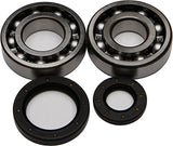 All Balls Crank Bearing and Seal Kit 24-1017 - Throttle City Cycles