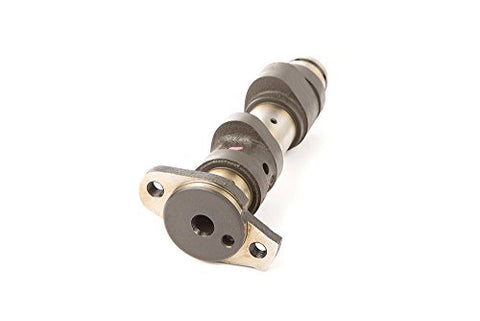 Hot Cams 4011-1 Camshaft - Throttle City Cycles