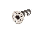 Hot Cams 4023-1IN Camshaft - Throttle City Cycles