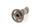 Hot Cams 2196-1IN Camshaft - Throttle City Cycles
