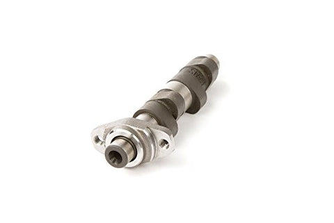 Hot Cams 1006-1 Camshaft - Throttle City Cycles