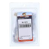 All Balls Racing 26-1973 Carburetor Rebuild Kit - Throttle City Cycles