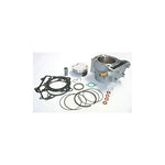 Athena Standard Bore Cylinder Kit - 95.50mm Bore P400510100007 - Throttle City Cycles