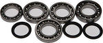 All Balls Differential Bearings and Seals Kit 25-2077 - Throttle City Cycles