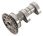 Hot Cams 4280-2IN Camshaft - Throttle City Cycles