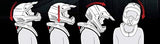 EVS Sports R4 Race Collar, Black - Throttle City Cycles