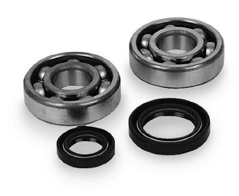 ALL BALLS BEARING/SEAL KIT CRANK 24-1042 - Throttle City Cycles