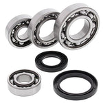 All Balls 25-2017 Differential Bearing and Seal Kit Rear - Throttle City Cycles