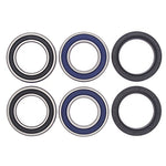All Balls Racing 25-1019 Wheel Bearing Kit - Throttle City Cycles