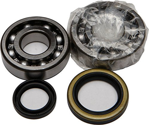 All Balls Crank Bearing and Seal Kit 24-1091 - Throttle City Cycles