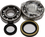 All Balls Crank Bearing and Seal Kit 24-1091 - Throttle City Cycles