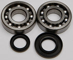 All Balls Crank Bearing and Seal Kit 24-1046 - Throttle City Cycles