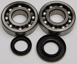 All Balls Crank Bearing and Seal Kit 24-1046 - Throttle City Cycles