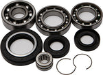All Balls Differential Bearing and Seal Kit 25-2002 - Throttle City Cycles