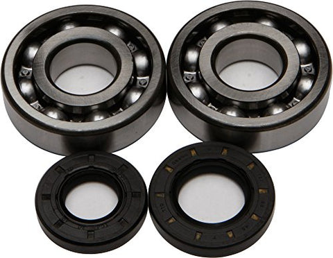 All Balls Crankshaft Crank Bearing/Seal Kit 24-1009 - Throttle City Cycles