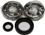 All Balls Crankshaft Crank Bearing/Seal Kit 24-1003 - Throttle City Cycles