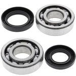 All Balls 24-1005 Crank Bearing Kit and Seal Kit - Throttle City Cycles