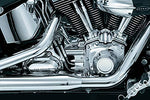 Kuryakyn 7876 Transmission Shroud - Throttle City Cycles