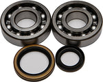 All Balls Crank Bearing and Seal Kit - Throttle City Cycles