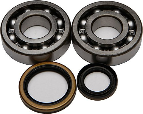 All Balls Crank Bearing and Seal Kit - Throttle City Cycles